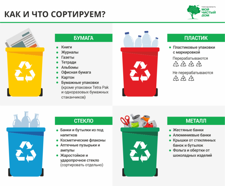 Инфографика: как томичам разделять мусор в домашних условиях?