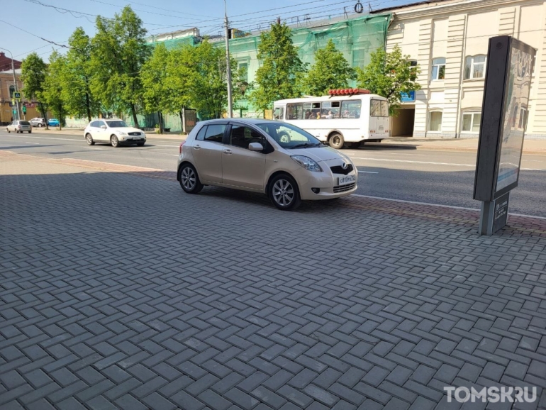 Мастера томской парковки: страж двух дворов или привратник урны