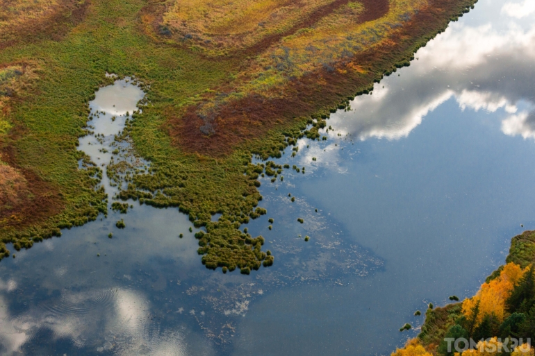 Васюганские болота. Центр мира: прикоснуться к загадке Сибири