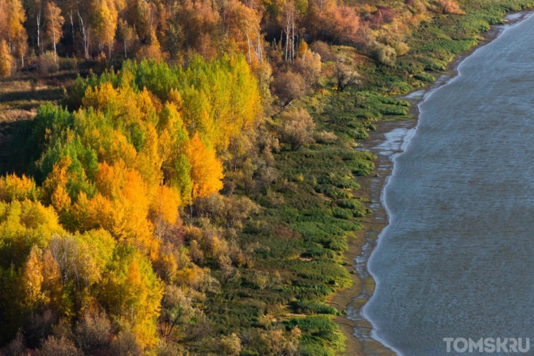 Васюганские болота. Центр мира: прикоснуться к загадке Сибири