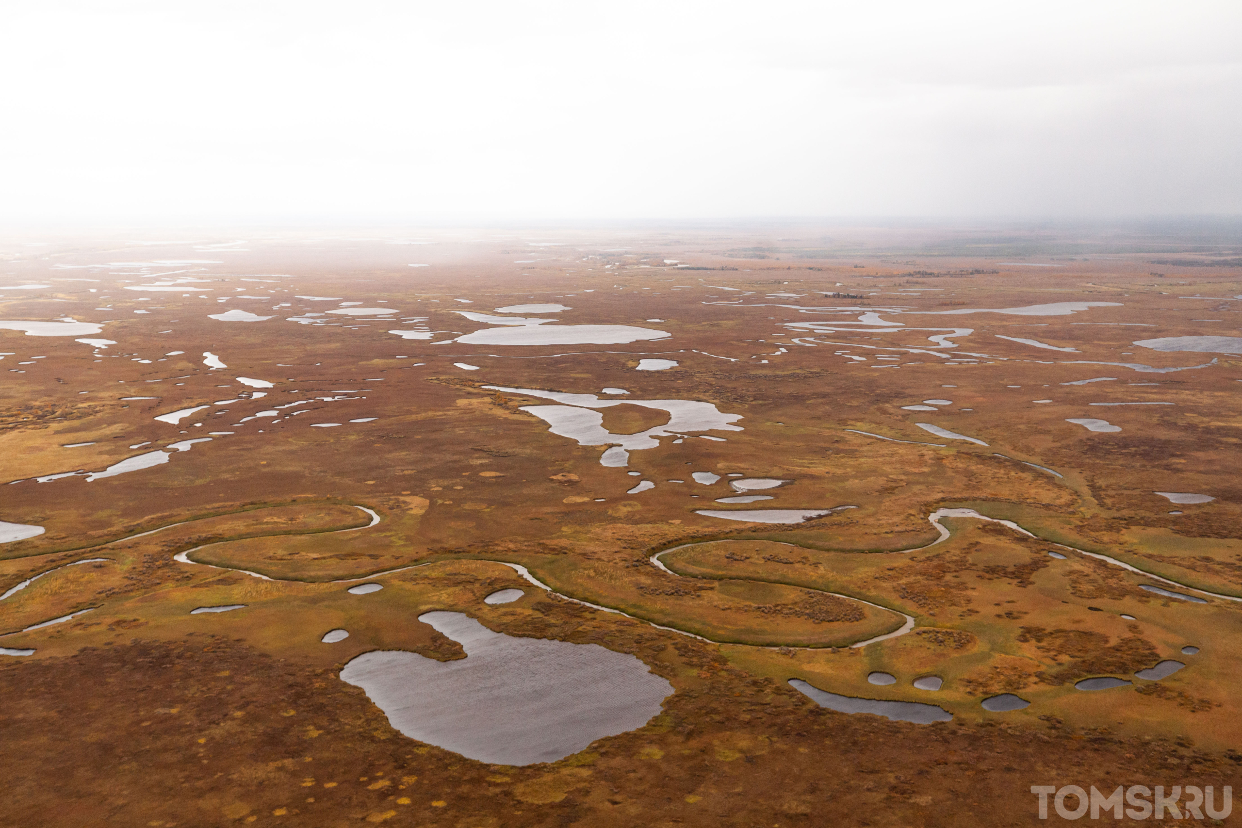 Васюганские болота. Центр мира: торф. Кладовая солнца