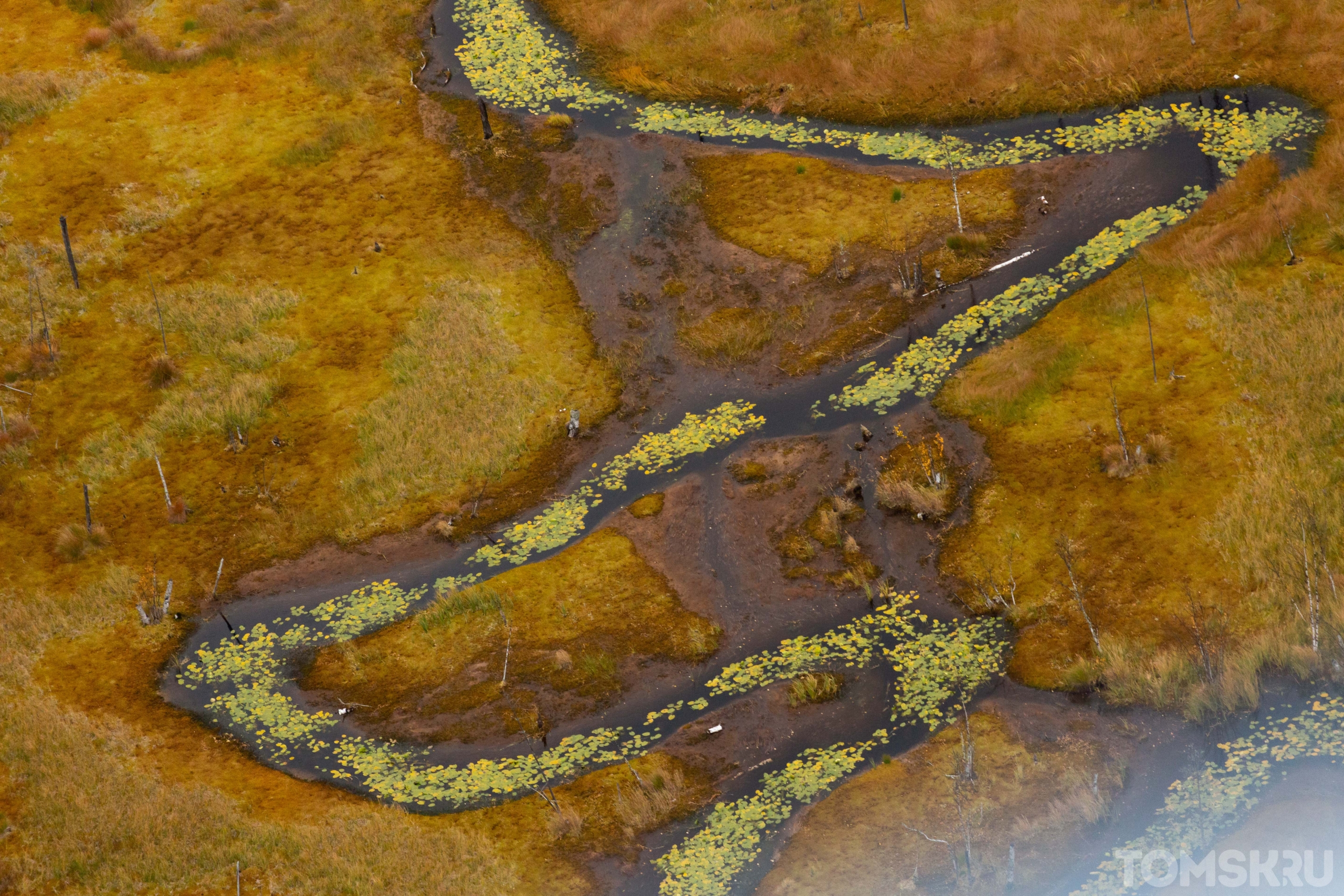 Васюганские болота. Центр мира: торф. Кладовая солнца