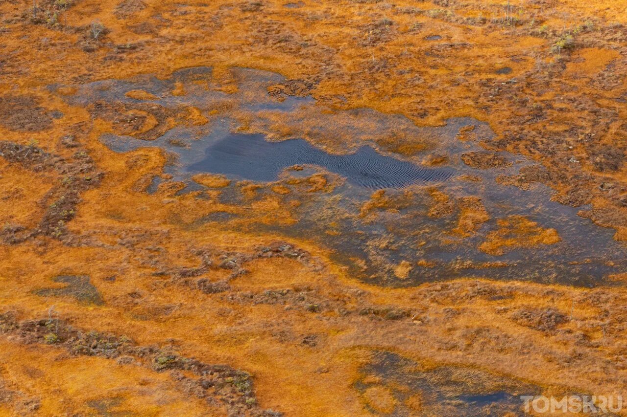 Ученый: запасы нефти рядом с Васюганским болотом истощаются