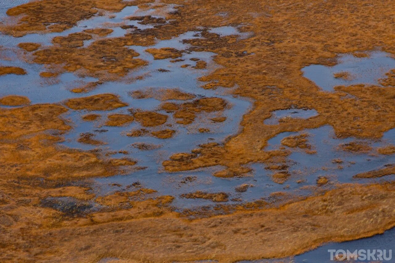Ученый: запасы нефти рядом с Васюганским болотом истощаются