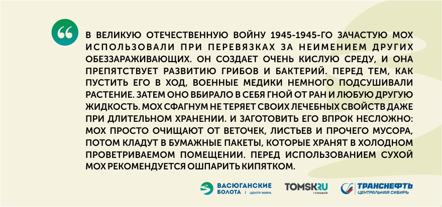 Васюган. Центр мира: неистребимые мхи-агрессоры