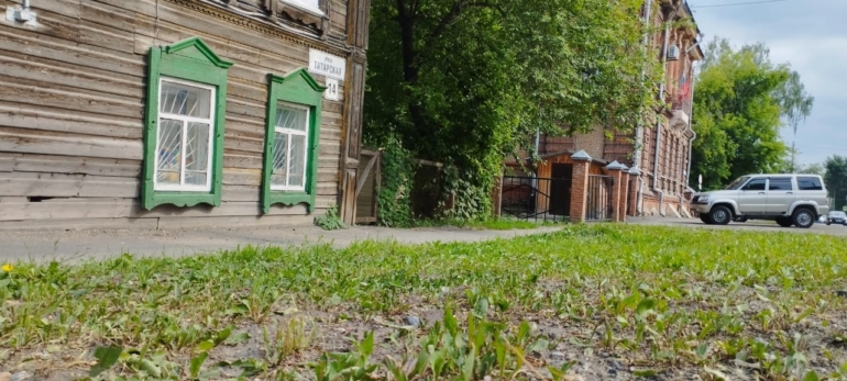 Активисты просят изменить нормативы стрижки газонов в Томске