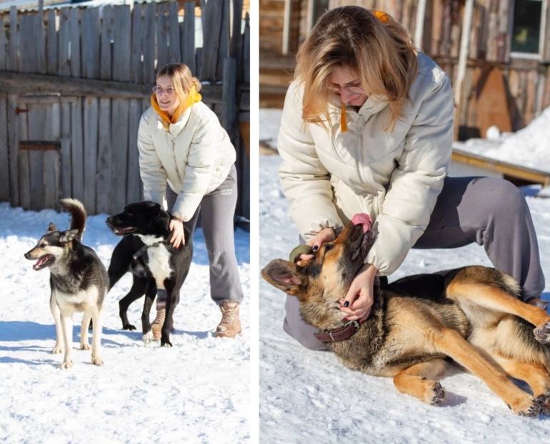С собаками можно: как томичка прививает бизнесу любовь к животным