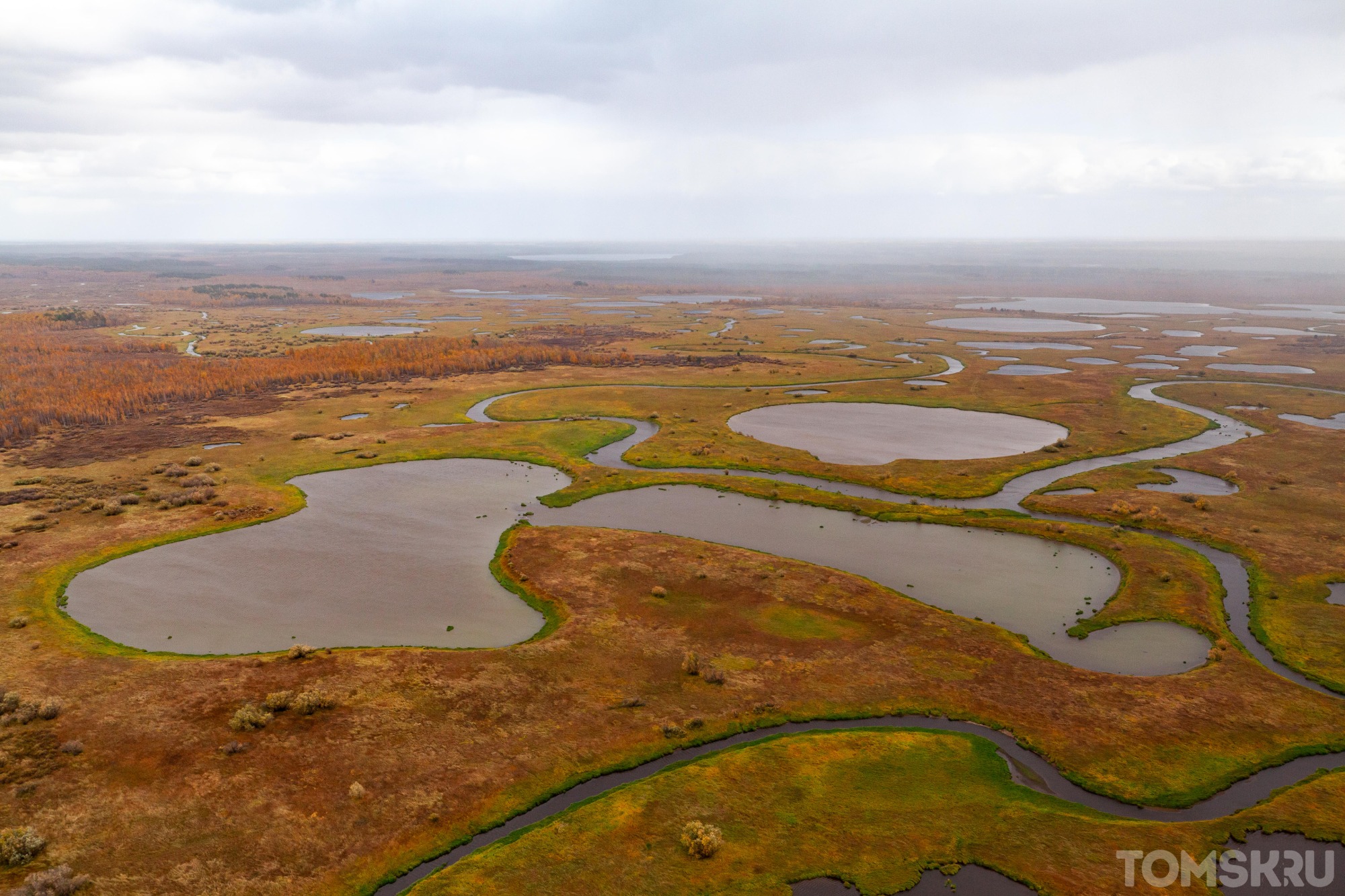 Слишком ухоженные: чем другие огромные болота мира отличаются от Васюганского