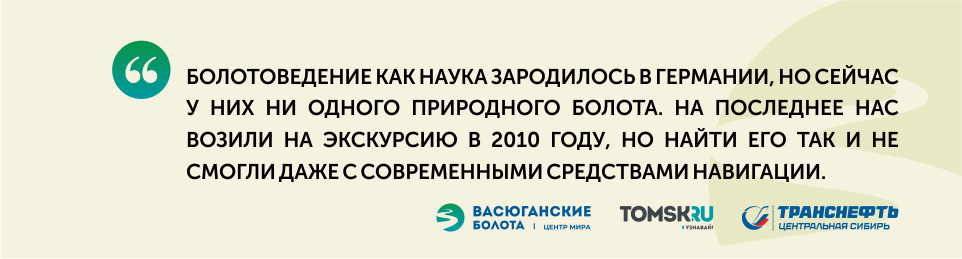 Слишком ухоженные: чем другие огромные болота мира отличаются от Васюганского