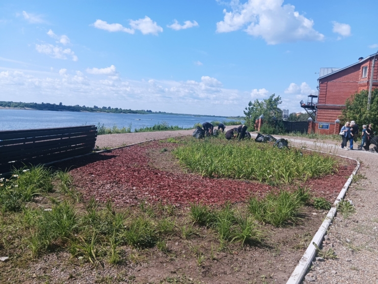 База цветников под патронажем волонтеров может появиться в Томске