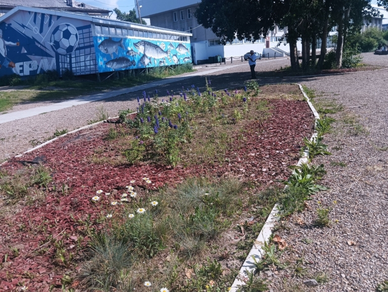 База цветников под патронажем волонтеров может появиться в Томске