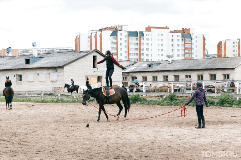 Томск готовит чемпионов #3: конный спорт