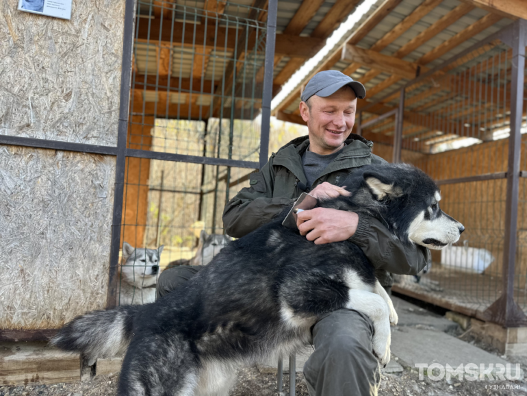 «Не бизнес, а члены семьи»: как в томской деревне появился хаски-центр