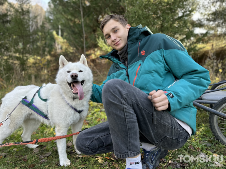 «Не бизнес, а члены семьи»: как в томской деревне появился хаски-центр