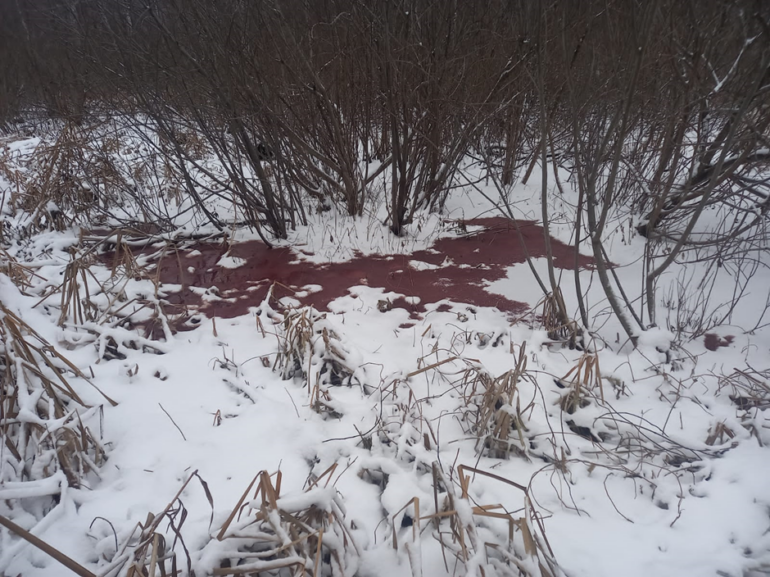 Томичи обнаружили кровавый ручей в конце Иркутского тракта