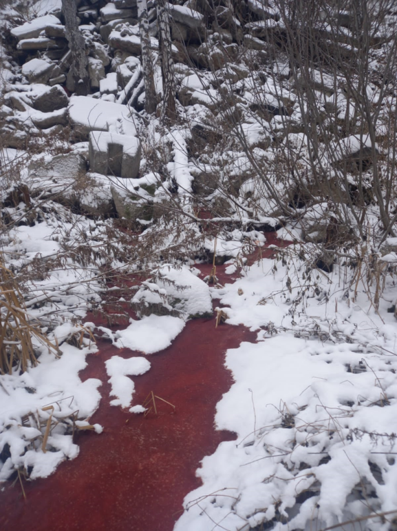 Томичи обнаружили кровавый ручей в конце Иркутского тракта