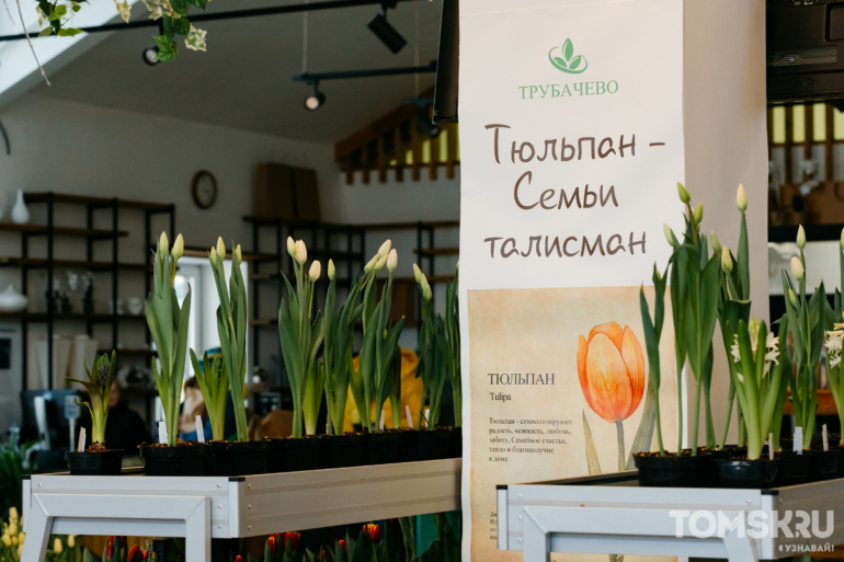 «Поцелуй весны»: у томичей осталось несколько дней до закрытия выставки тюльпанов в «Трубачево»