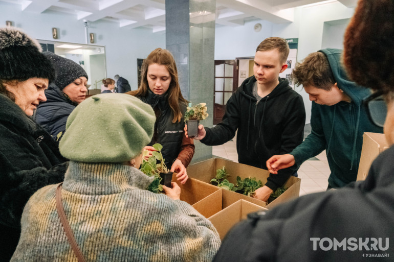 Томичи разобрали все фиалки на бесплатной раздаче клонированных растений