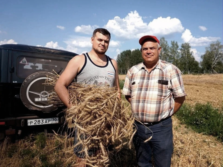 Как в Сибири получить «южный» объем урожая: опыт и хорошая техника