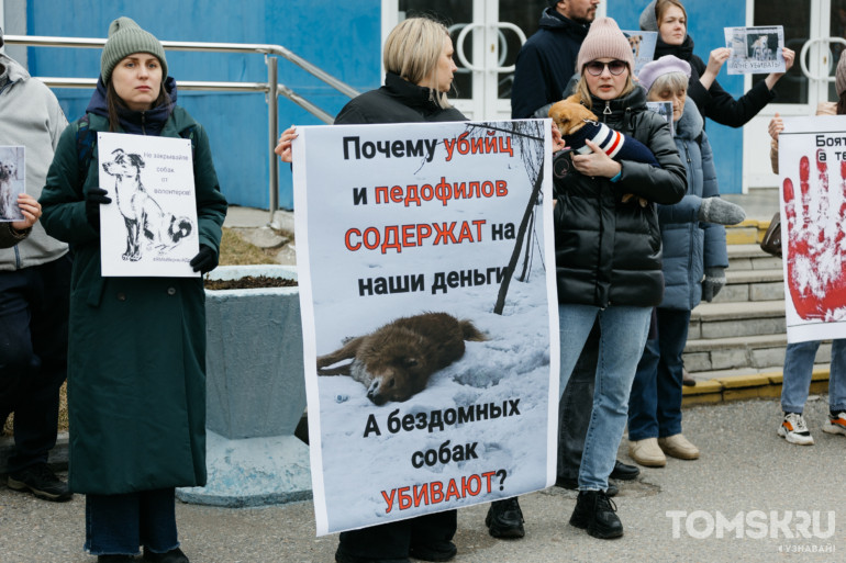 «За что нас убивают»: в Томске прошел зоозащитный пикет