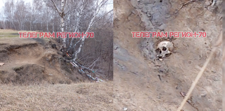 Человеческий череп нашли в Томске на месте массовых расстрелов