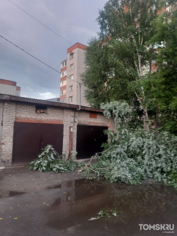 Мэрия Томска устраняет последствия прошедшего урагана