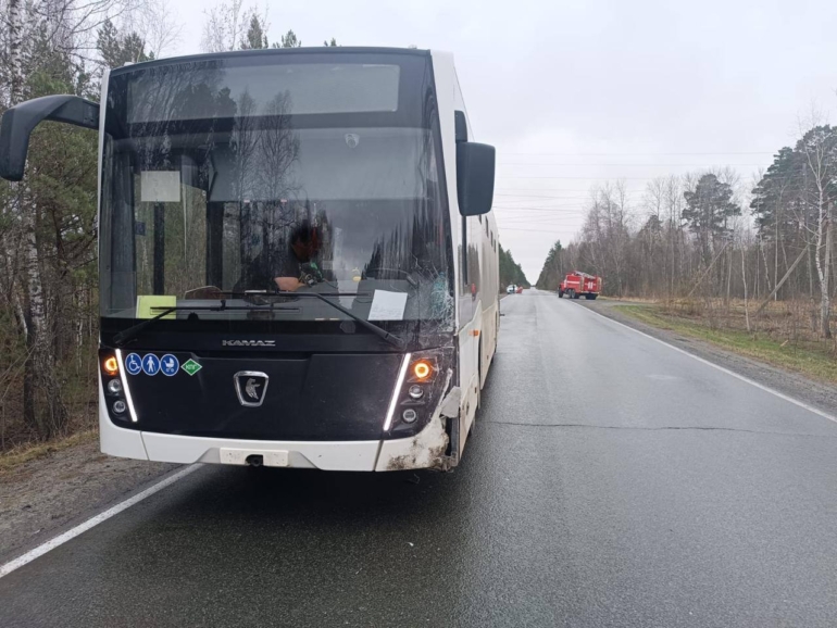 Мужчина пострадал в результате ДТП под Томском