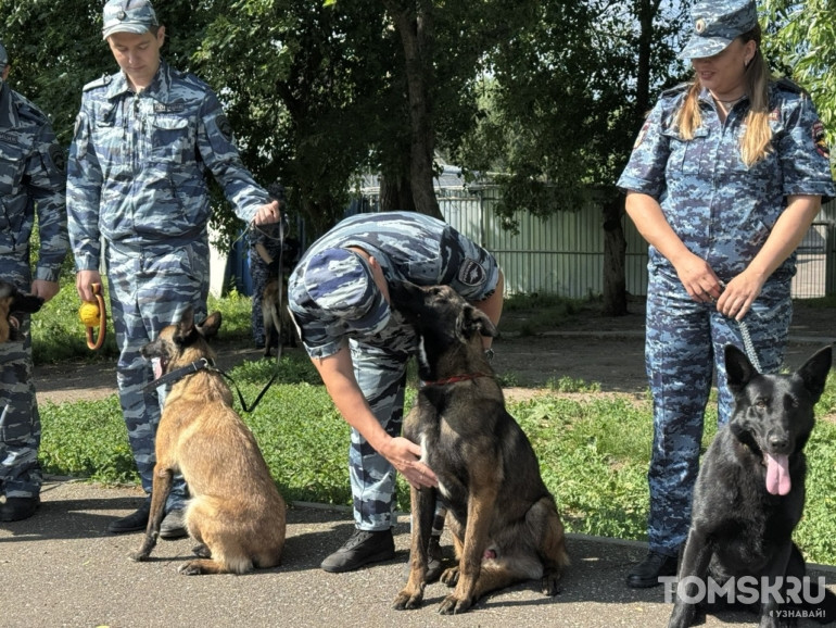 «Это не просто служебный пес, это товарищ»: фоторепортаж ко Дню кинолога
