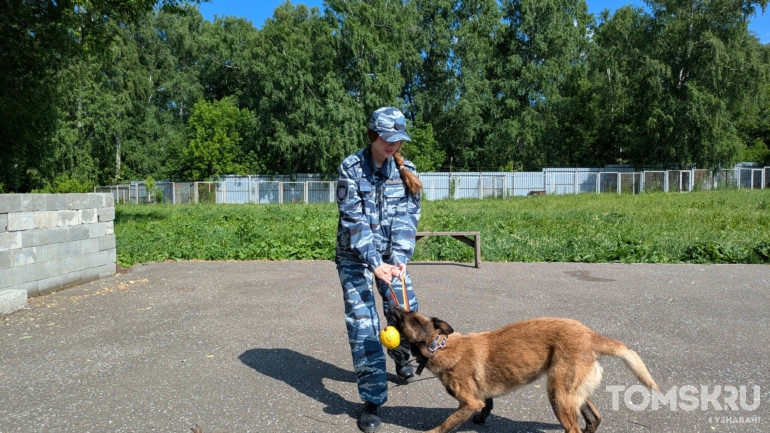 «Это не просто служебный пес, это товарищ»: фоторепортаж ко Дню кинолога
