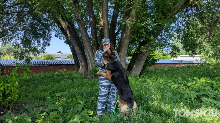 «Это не просто служебный пес, это товарищ»: фоторепортаж ко Дню кинолога