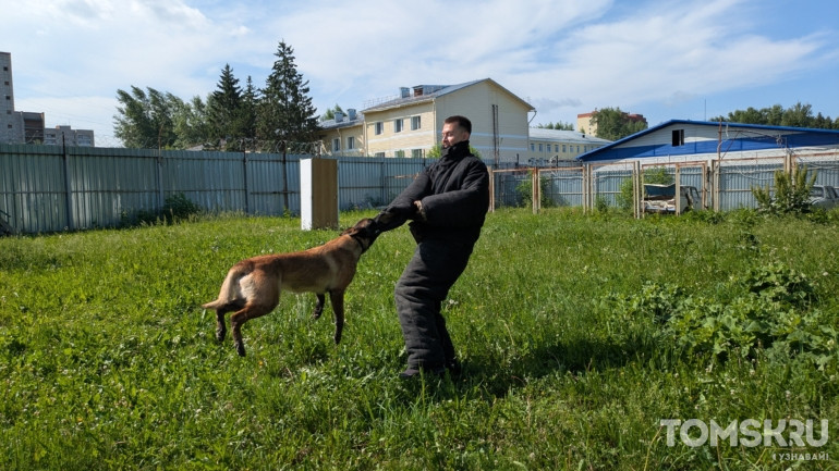 «Это не просто служебный пес, это товарищ»: фоторепортаж ко Дню кинолога