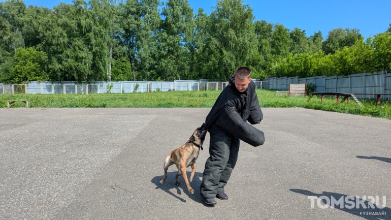 «Это не просто служебный пес, это товарищ»: фоторепортаж ко Дню кинолога