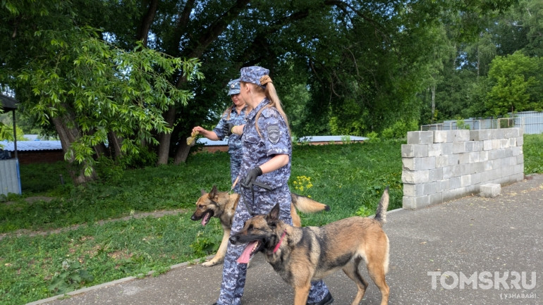 «Это не просто служебный пес, это товарищ»: фоторепортаж ко Дню кинолога