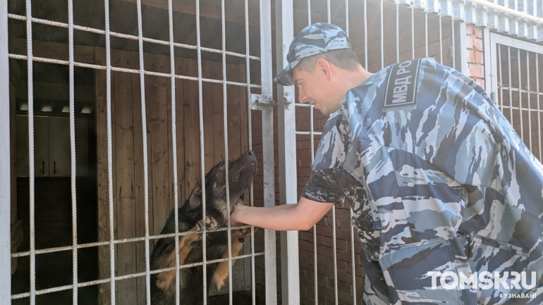 «Это не просто служебный пес, это товарищ»: фоторепортаж ко Дню кинолога