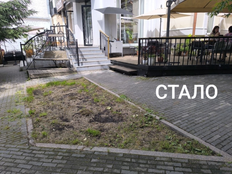 Подрядчик извинился за скошенный у томского ЗАГСа цветник
