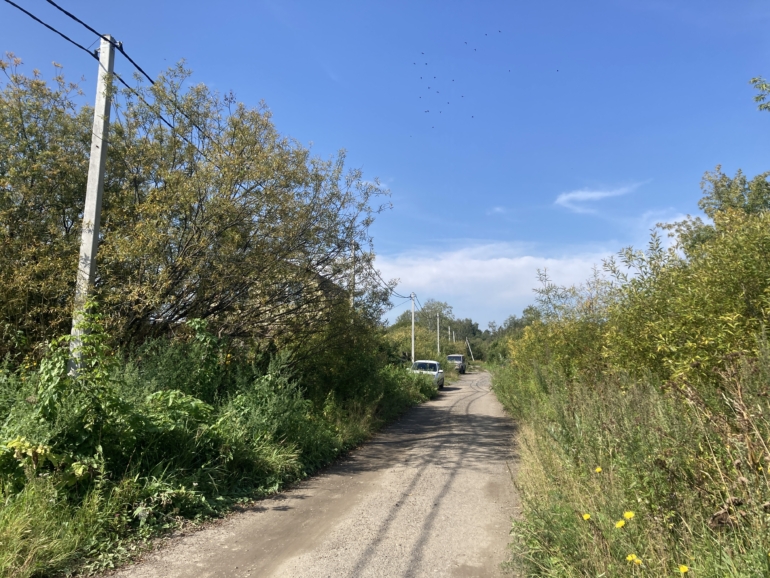 Мэр Томска проверил уличное освещение в пригороде