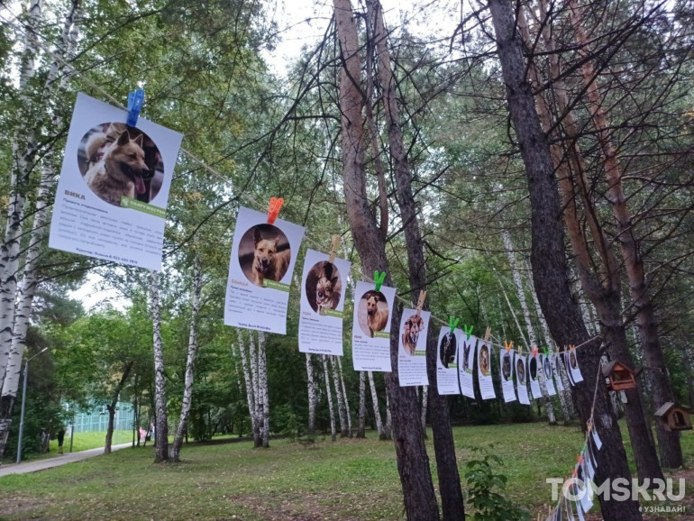 Фоторепортаж: в Томске прошел «Мохнатый кросс»