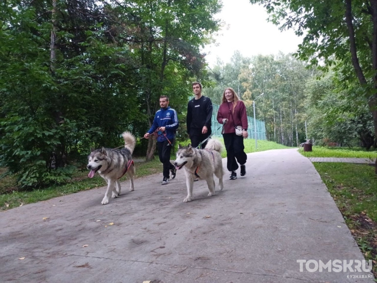 Фоторепортаж: в Томске прошел «Мохнатый кросс»