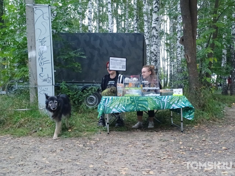 Фоторепортаж: в Томске прошел «Мохнатый кросс»
