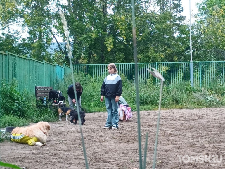 Фоторепортаж: в Томске прошел «Мохнатый кросс»