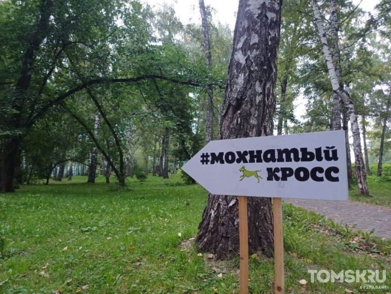 Фоторепортаж: в Томске прошел «Мохнатый кросс»