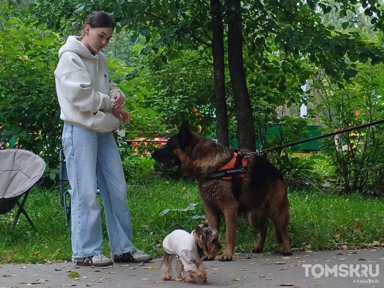 Фоторепортаж: в Томске прошел «Мохнатый кросс»