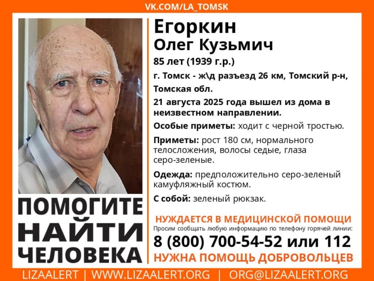 В Томске разыскивают 85-летнего мужчину