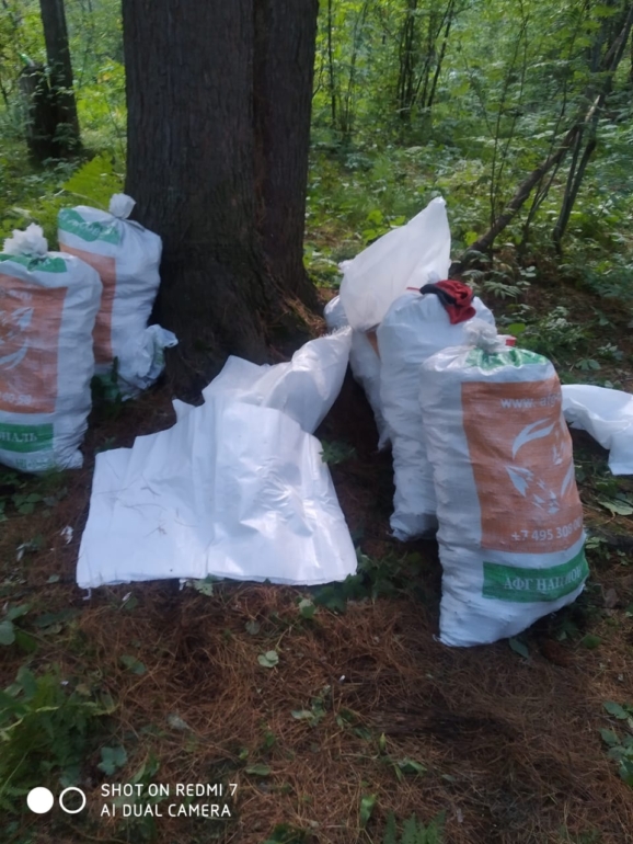 В Томском районе за два дня задержали 27 человек за незаконный сбор шишки