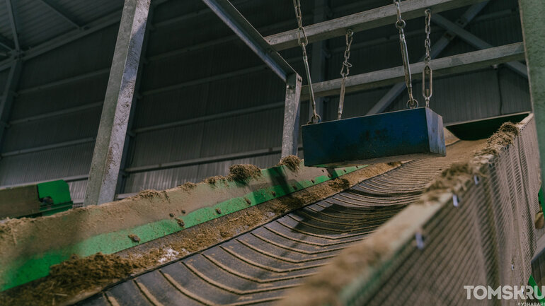 Как выглядит самая крупная молочная ферма в Томской области — фоторепортаж