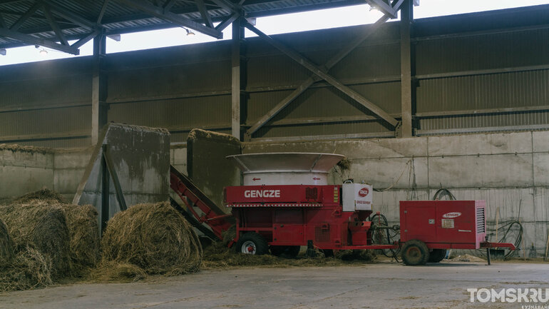 Как выглядит самая крупная молочная ферма в Томской области — фоторепортаж