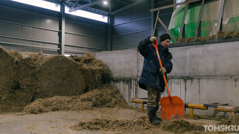 Как выглядит самая крупная молочная ферма в Томской области — фоторепортаж