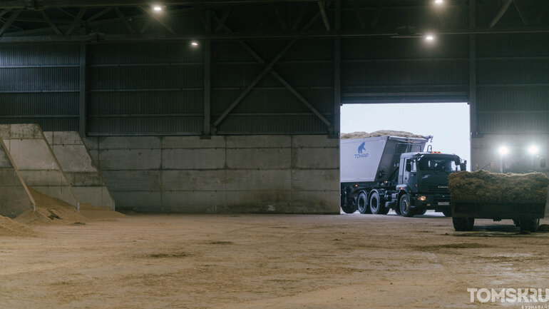 Как выглядит самая крупная молочная ферма в Томской области — фоторепортаж