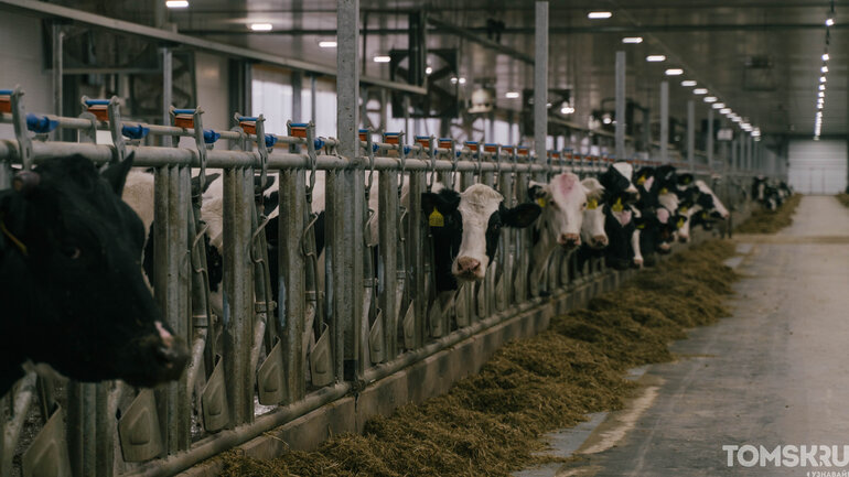 При поддержке ВТБ в Томской области открыли молочно-товарный комплекс