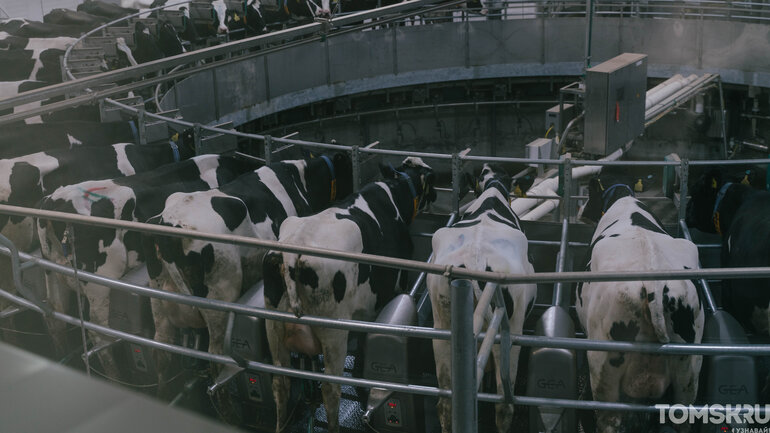 При поддержке ВТБ в Томской области открыли молочно-товарный комплекс